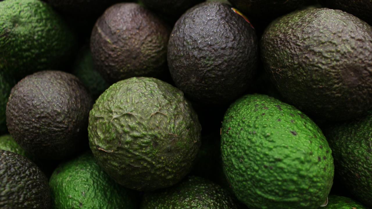 Pocos lo saben: 5 usos diferentes que puedes darle a la cáscara de palta